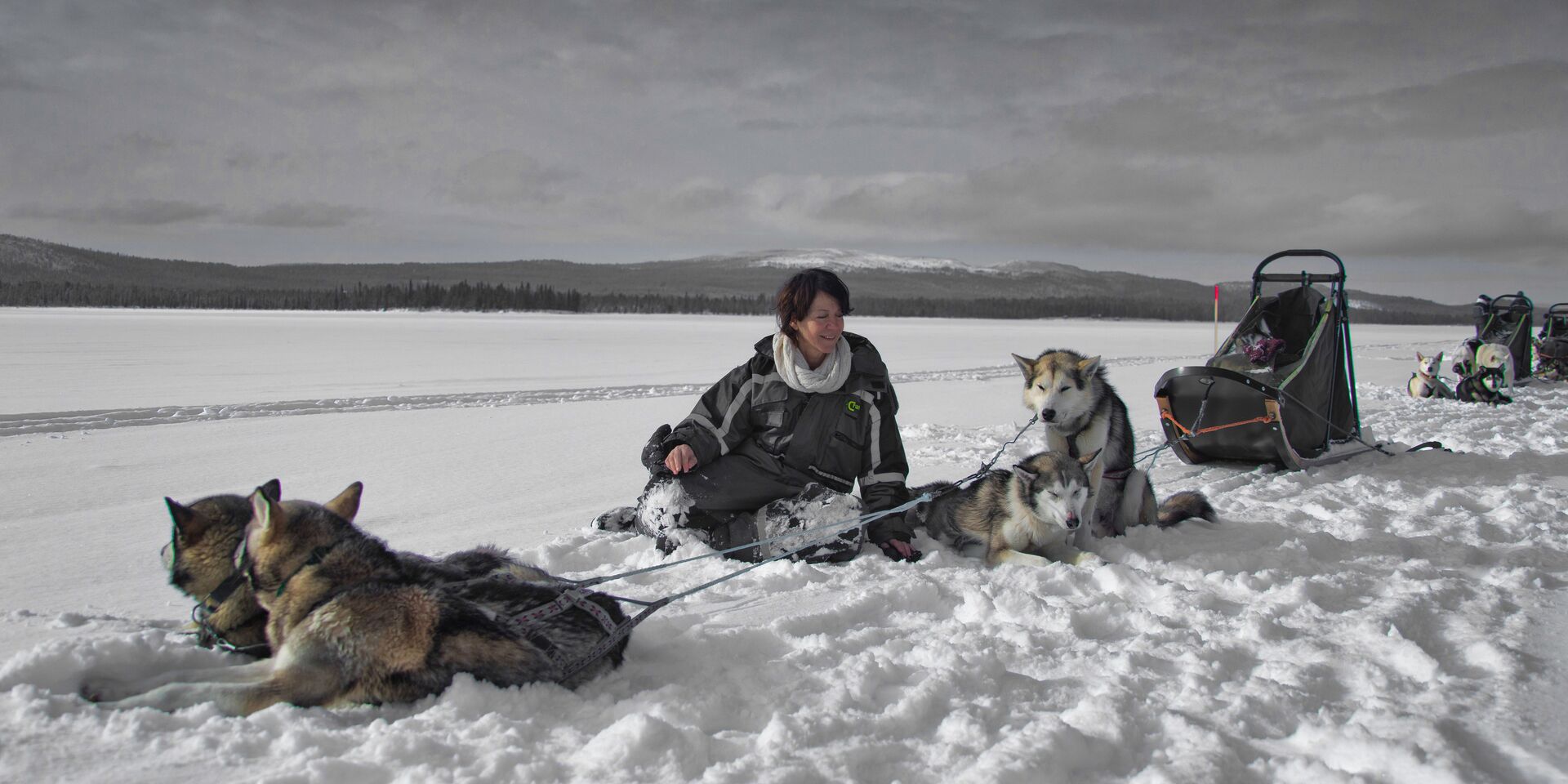 Husky safari Rovaniemi