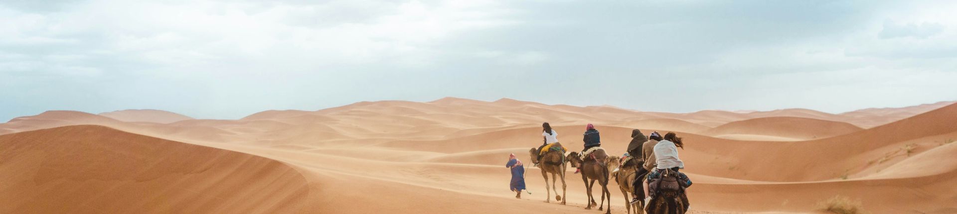 Camel caravan in the Sahara, Morocco
